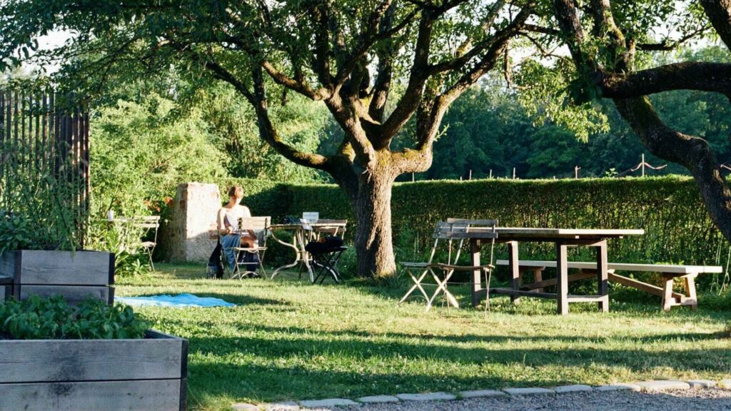 Zonnige tuin met houten picknicktafel en zitplekken onder een grote boom, ideaal voor tuin upgraden met zitcomfort.