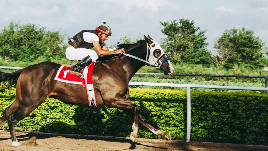 odds, statistieken en noteringen lezen