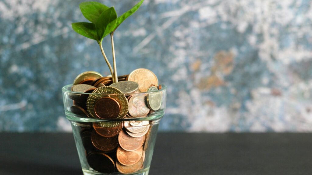 Groei van financiële administratie weergegeven met muntgeld en plantje in glas